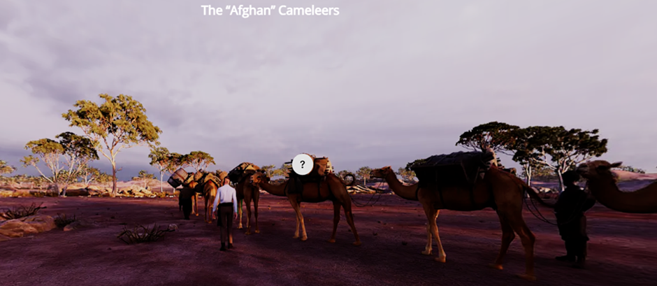 The "Afghan" Cameleers