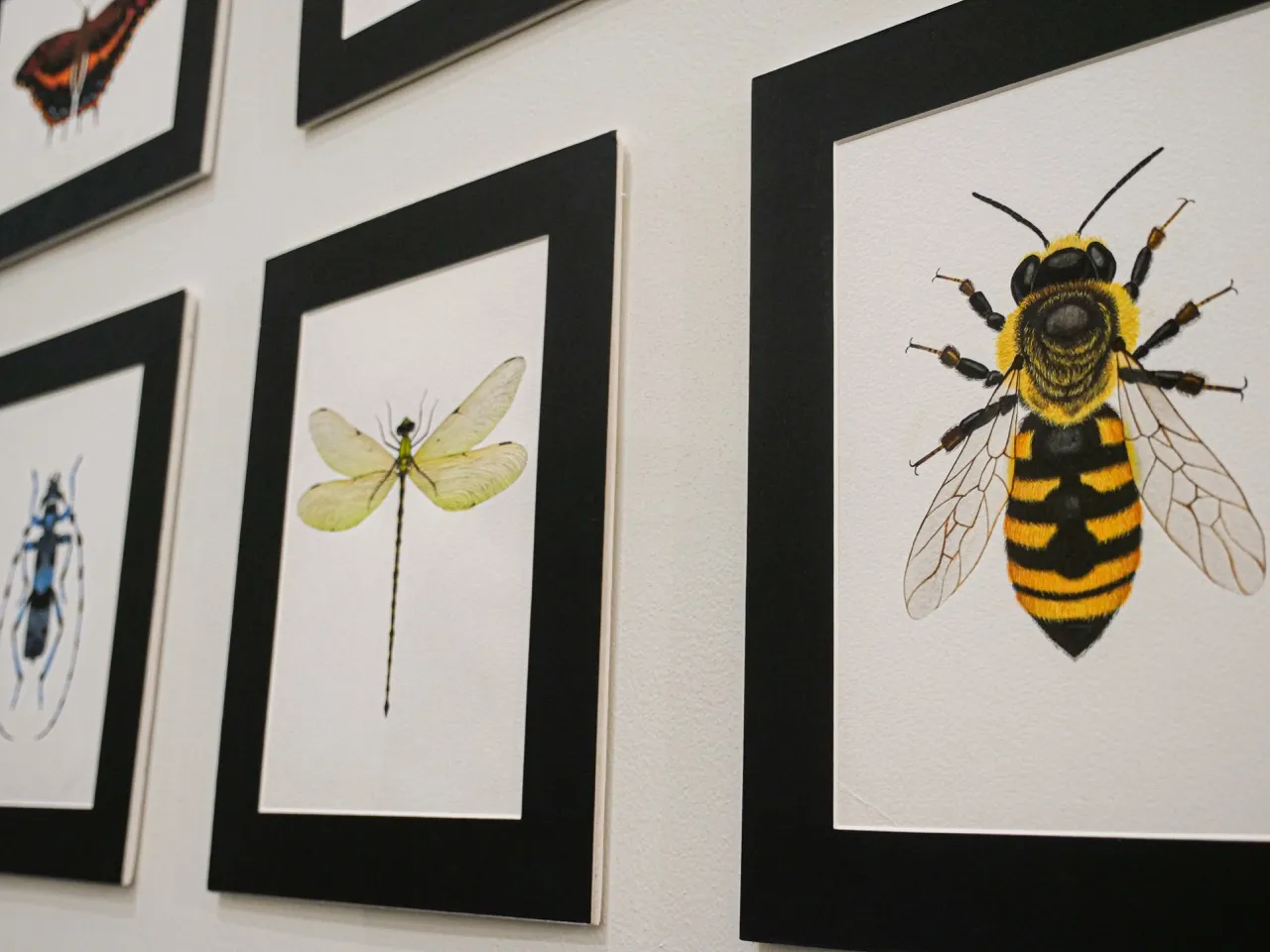 Ephemera, a work by Lujayne Alnimer shown in a past FAMA exhibition